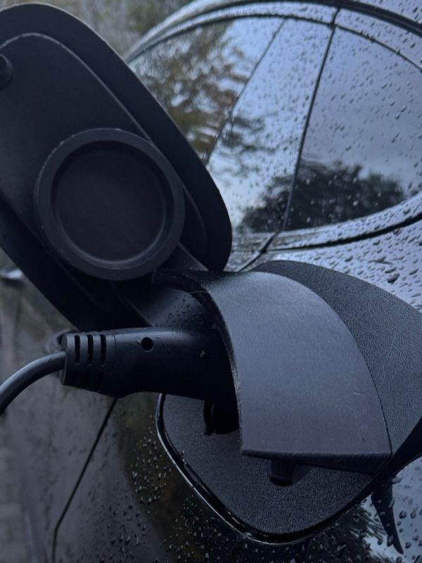 Product Porsche Panamera 4 E-Hybrid - Weather and Snow Cover for Charging Port Image