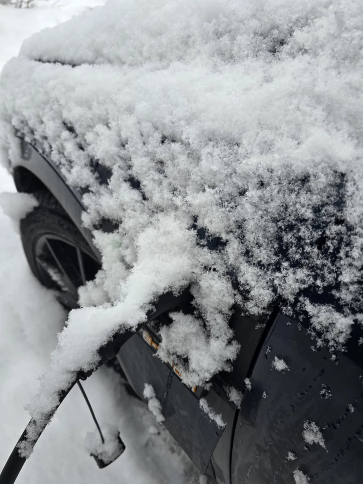 Audi Quattro E-Tron 50/55 - Snow cover V2