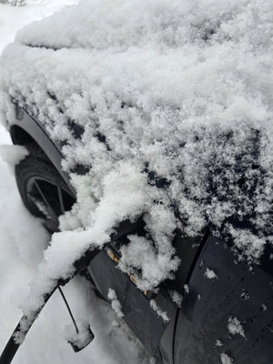 Audi Quattro E-Tron 50/55 - Snow cover V2